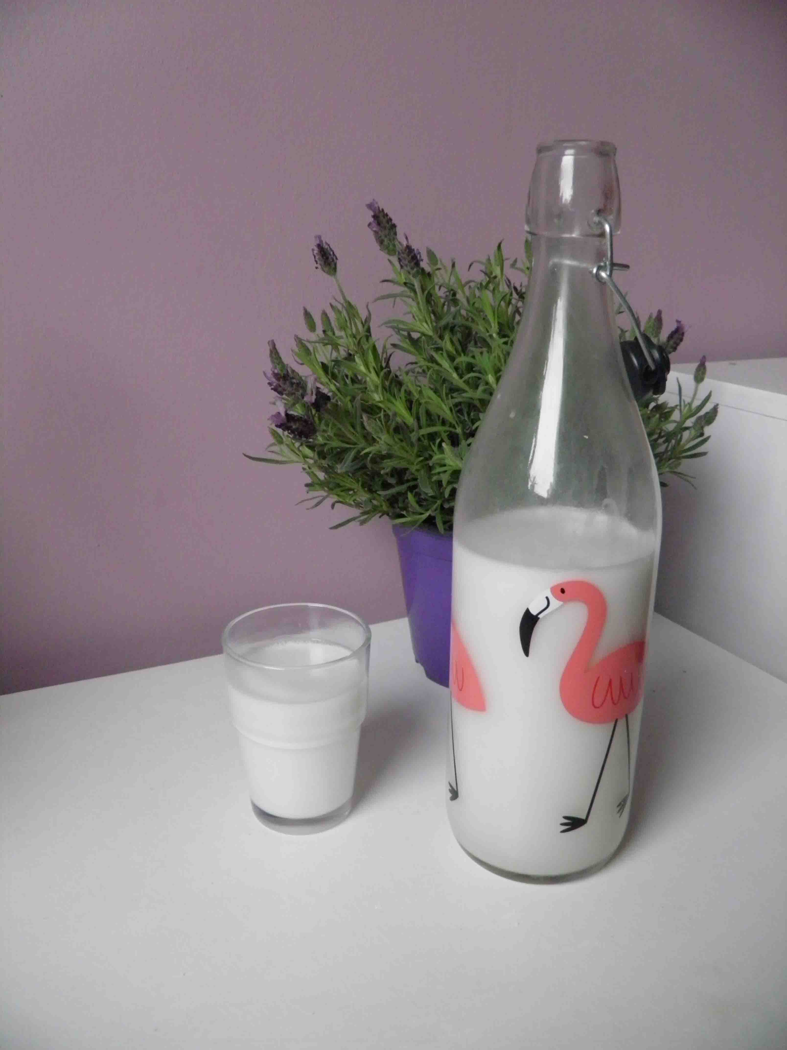 Mleko kokosowe – domowe mleko roślinne